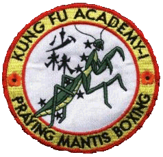 KungFu Academy 1